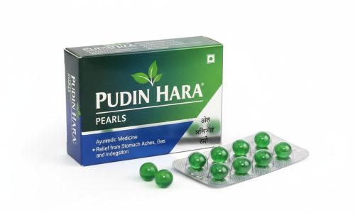 pudin.fd0af1c82316c84651fe